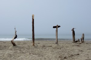 Sea Glass and Sand Dollars