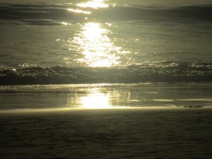 A Change of Scenery 2014 #3