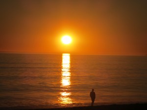 A Change of Scenery 2014 #4