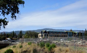 What I Saw Today #10_1