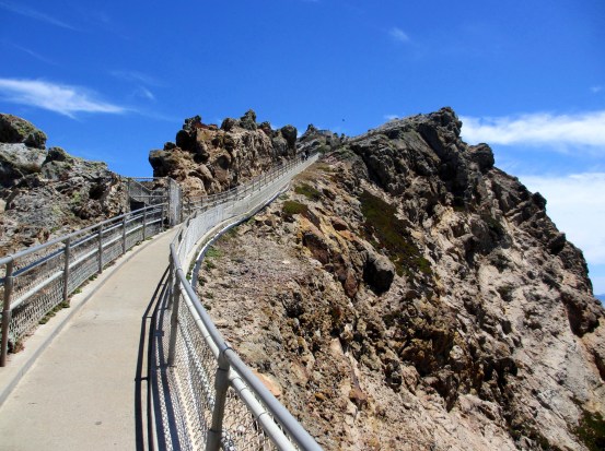 Point Reyes June 2016 #5_1