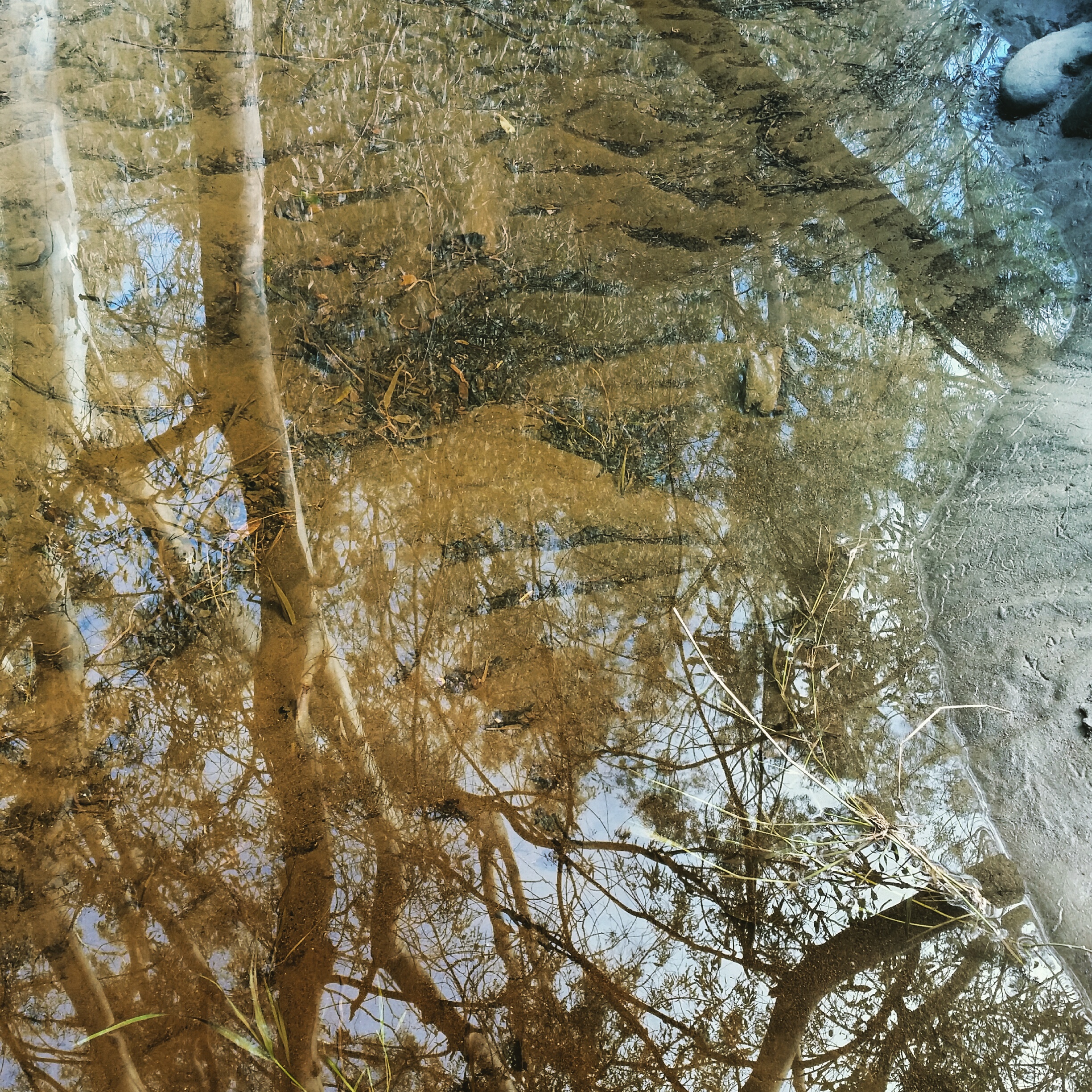 IMG_20170213_204437_943